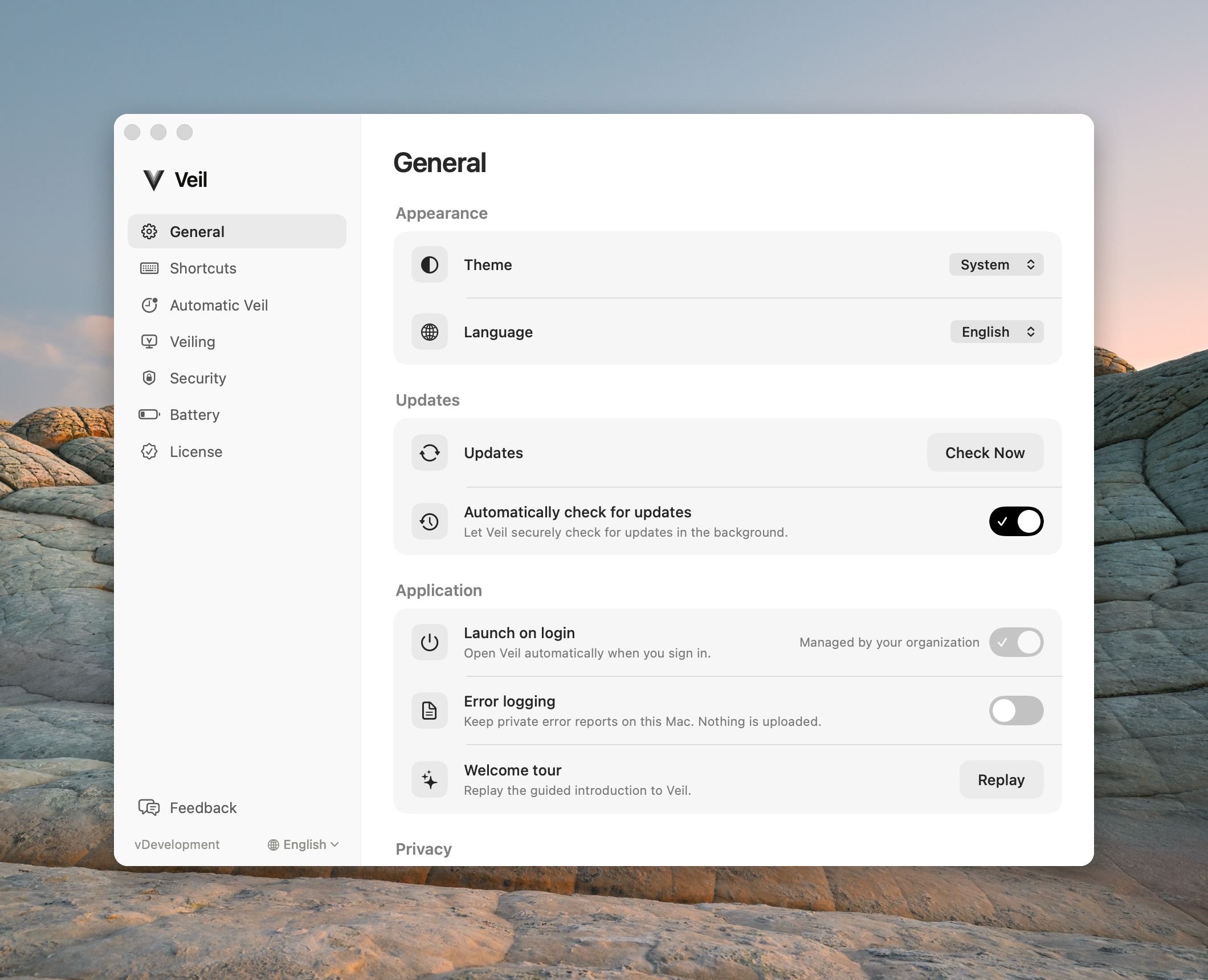 General settings with Launch on login on and labeled Managed by your organization