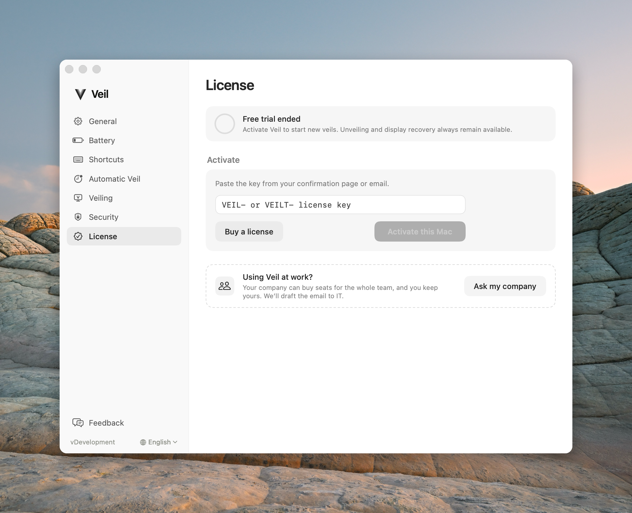 License pane after the trial ended